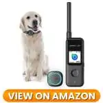 Dog GPS Tracker 03