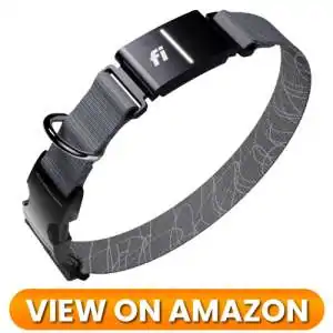 Dog GPS Tracker 04