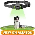 Dog-GPS-Tracker-06