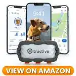 Dog-GPS-Tracker-07