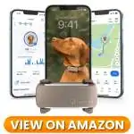 Dog-GPS-Tracker-08