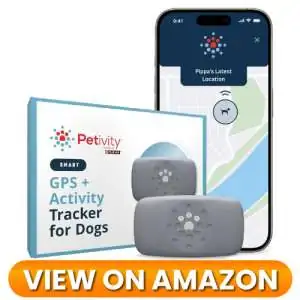 Dog-GPS-Tracker-09