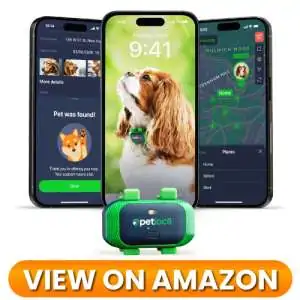 Dog-GPS-Tracker-10