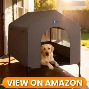 10 Best Indoor & Outdoor Dog Houses 2026 11 Dog House 1