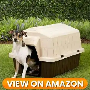 10 Best Indoor & Outdoor Dog Houses 2026 20 Dog House 10