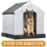 10 Best Indoor & Outdoor Dog Houses 2026 4 Dog-House-4