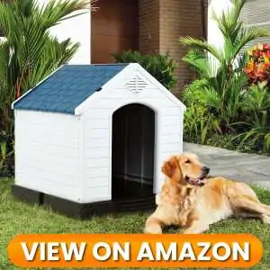 10 Best Indoor & Outdoor Dog Houses 2026 16 Dog-House-6