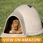 10 Best Indoor & Outdoor Dog Houses 2026 9 Dog-House-9