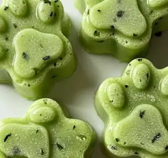 cucumber-mint-paw-treats
