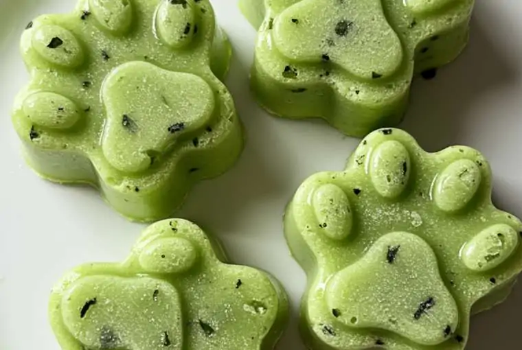 cucumber-mint-paw-treats
