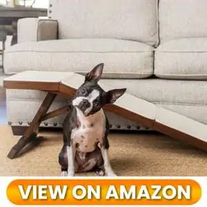 Dog-Ramp-for-couch-03