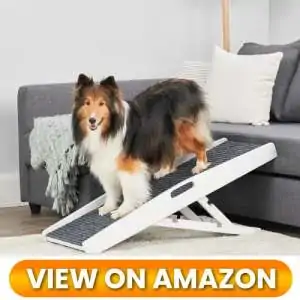 Dog-Ramp-for-couch-10